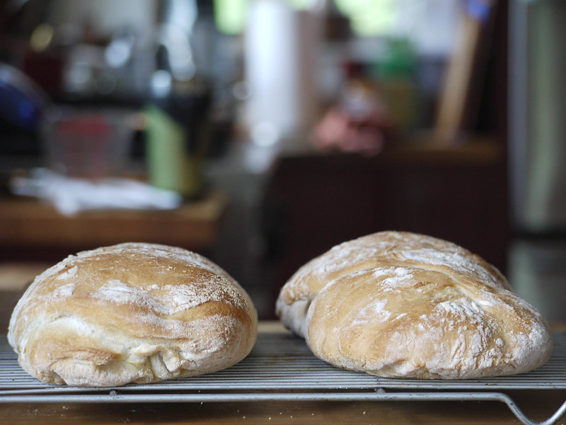 Ciabatta formato