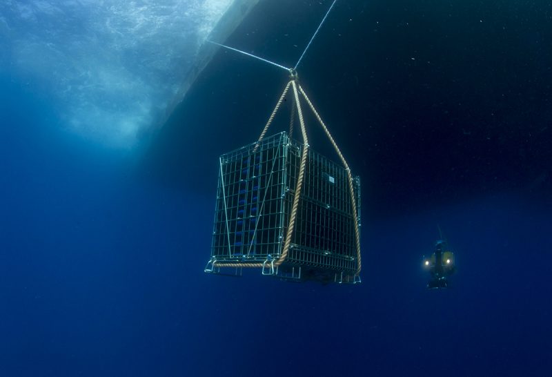 In fondo al mar. Alla scoperta del vino underwater